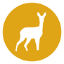 Ree