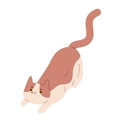 alert-body-posture-cat