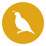 Kwartel