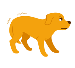An-anxious-body-posture-dog