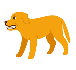 geirriteerde-of-agressieve-lichaamshouding-hond