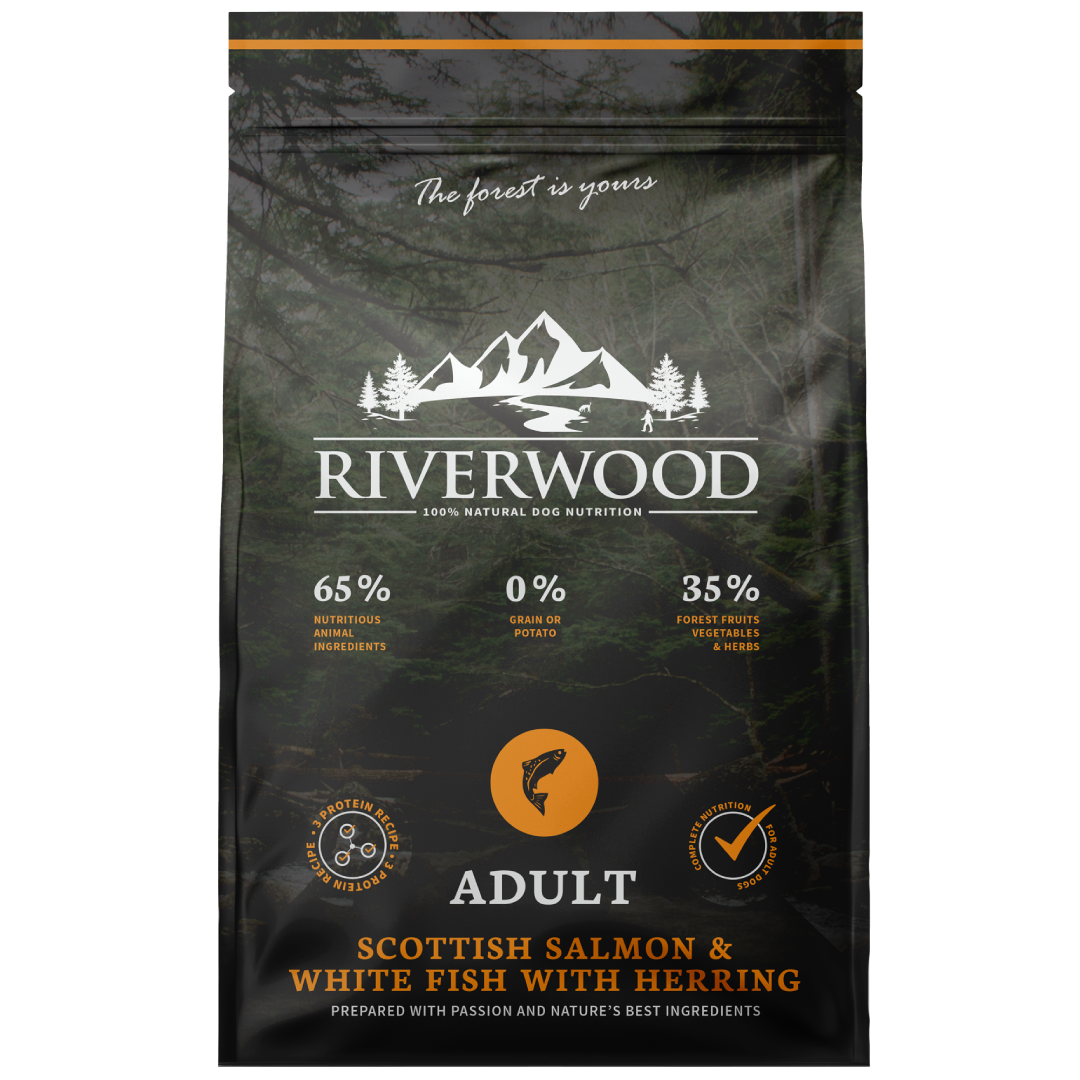 Zalm & Witvis met Haring