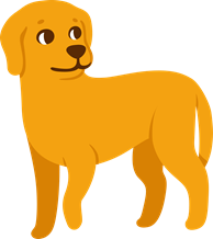 alerte-lichaamshouding-hond