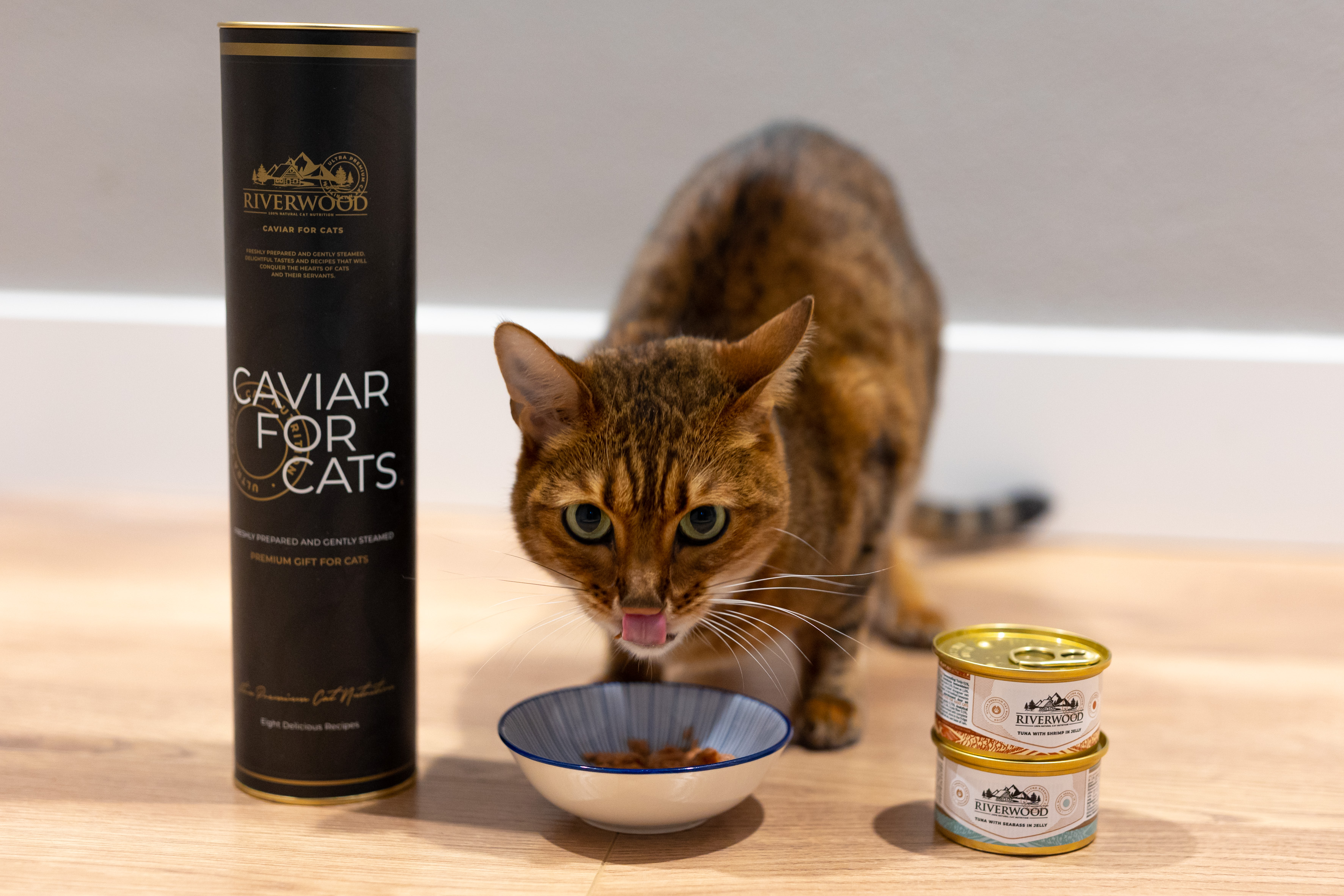 Natvoer voor katten - Mousse Variëteiten zonder granen en suiker (72 x 85 g Natvoer voor katten - Mousse Variëteiten zonder granen en suiker (72 x 85 g