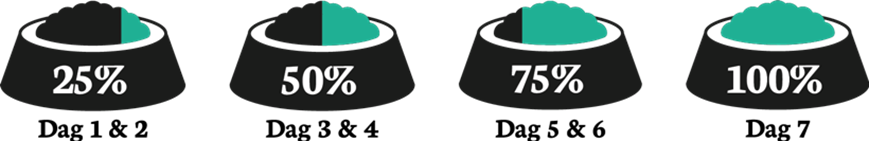 swith-to-other-dogfood