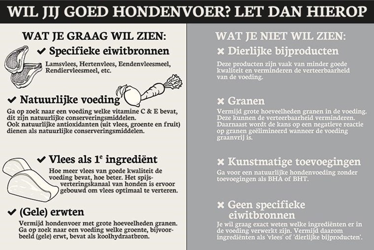 infographic-goed-hondenvoer