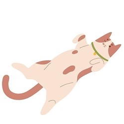 Relaxtra lichaamstaal van een kat