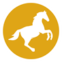 Paard