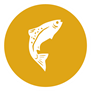 Zalm